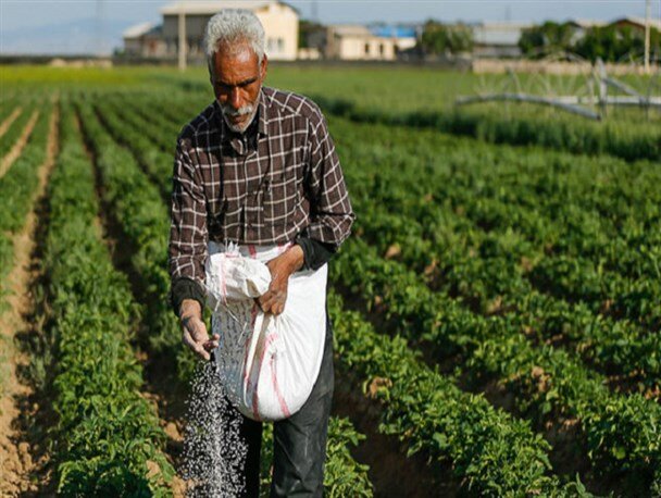 افزایش 20 درصدی کود کشاورزی در استان زنجان