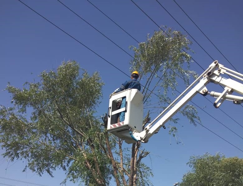 اجرای مانور شاخه زنی در حوزه برق زنجان