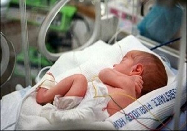 بیش از یک هزار نوزاد در فروردین ماه سالجاری متولد شدند
