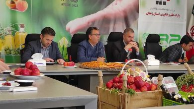 برگزاری سه رویداد نوآورانه برای عرضه مستقیم محصولات کشاورزی در زنجان
