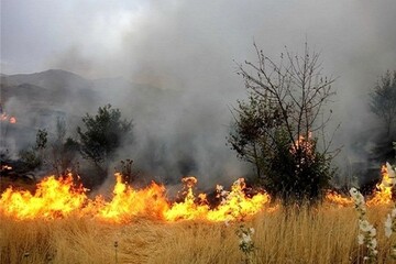 آتش سوزی مراتع زنجان سال گذشته 86درصد کاهش یافت