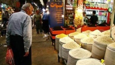 اختصاص 196 تن سهمیه برنج در زنجان
