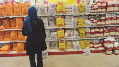 بیش از 2900 تن برنج و شکر در استان زنجان توزیع شد